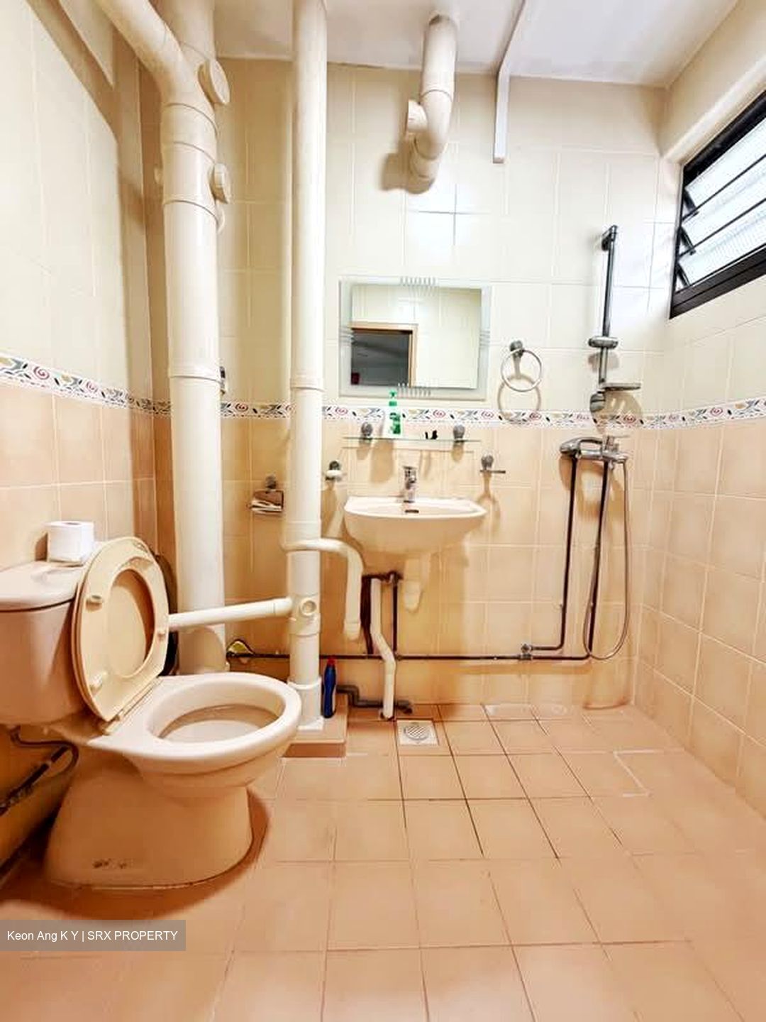 Blk 53 Geylang Bahru Riverpoint (Kallang/Whampoa), HDB 5 Rooms #598195851